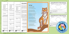 The Tyger Poem By William Blake Teacher Made Twinkl